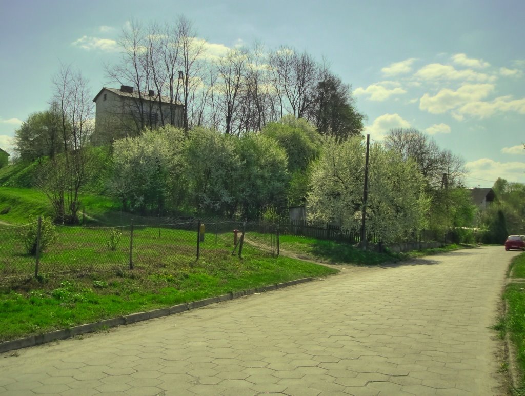Krasnystaw - Zastawie - Wiosna