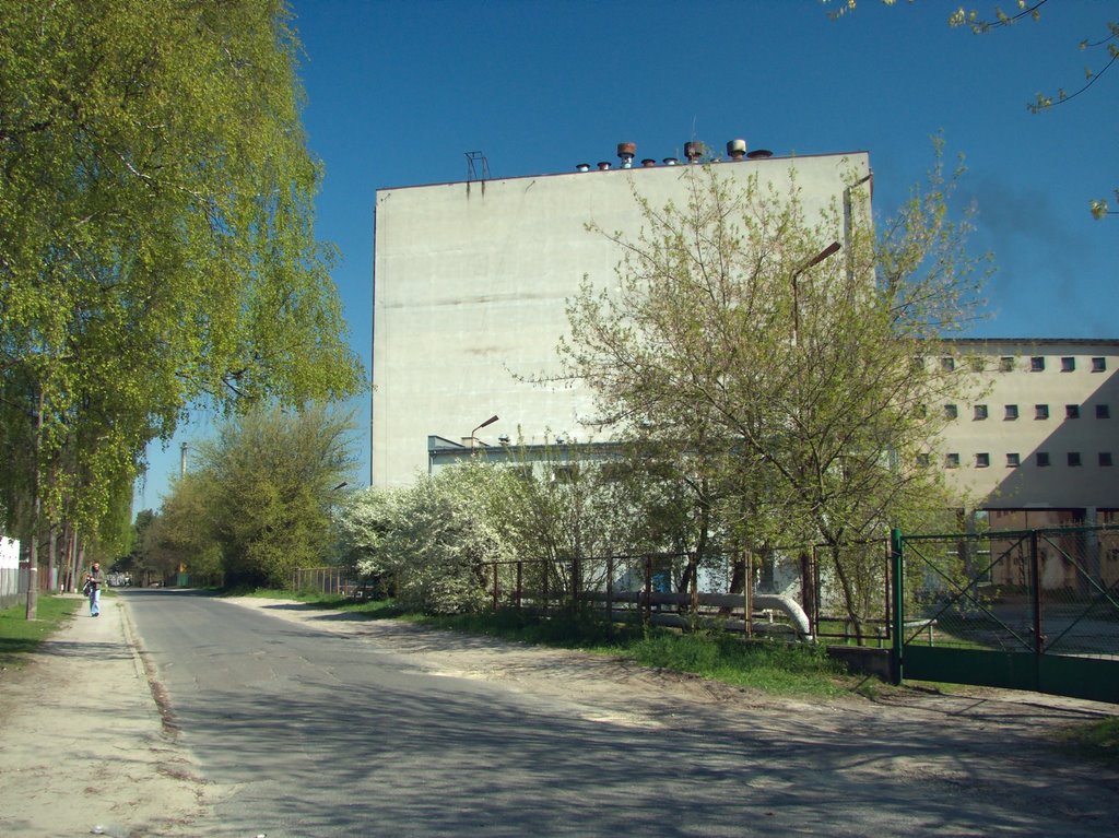 Krasnystaw ul. Leśna