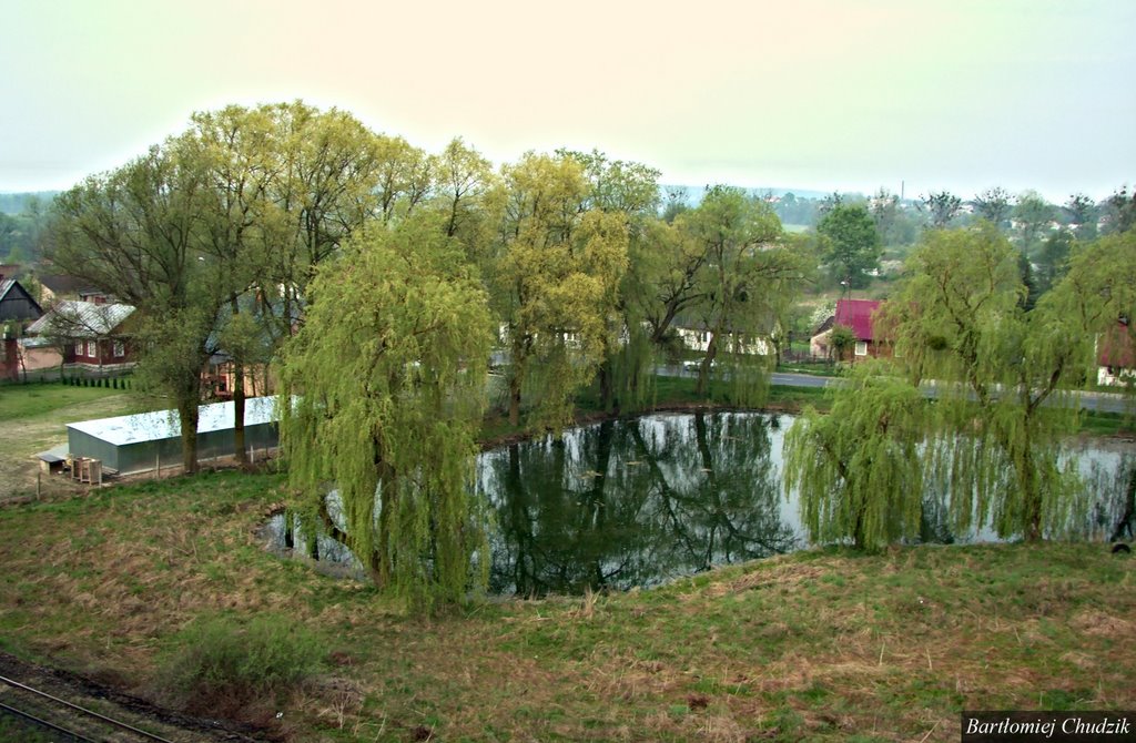 Krasnystaw - Piękny staw