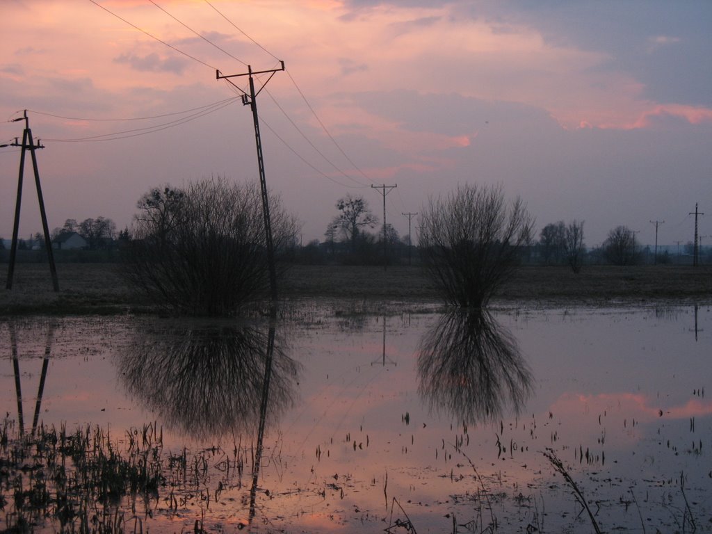 Sunset above the meadows