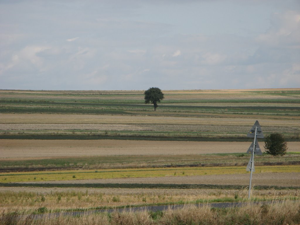 Lubelszczyzna