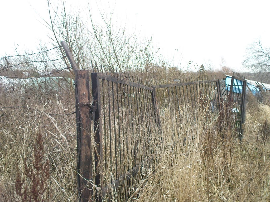 ogródki działkowe