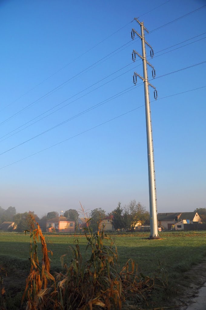 Pole