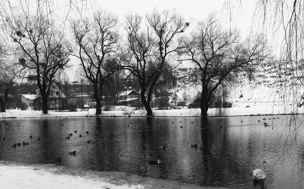 Piękny Staw (krasy staw)