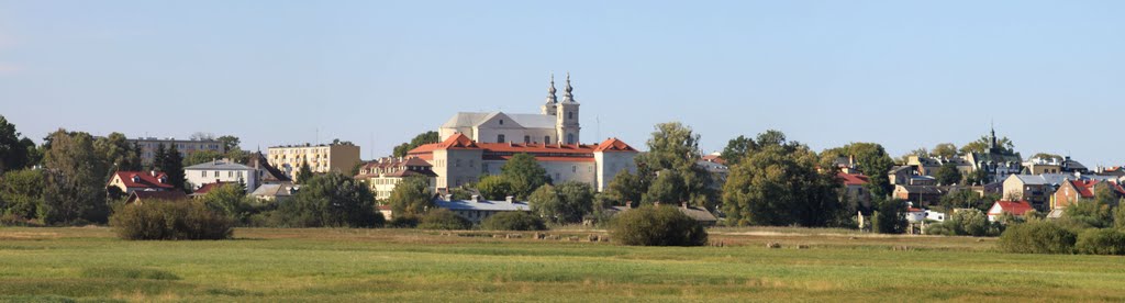 Panorama Krasnegostawu od strony południowej.