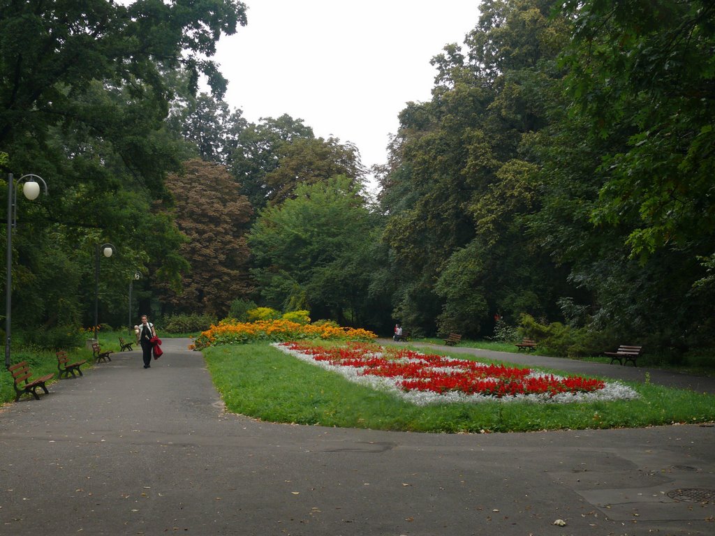 Ogród Saski