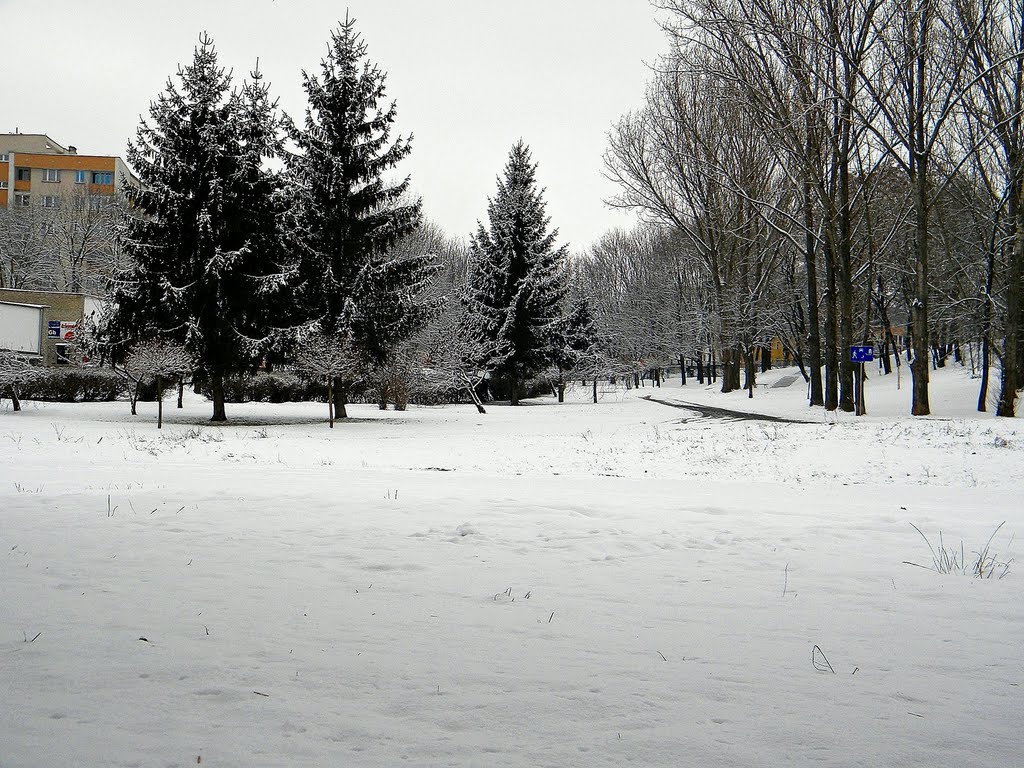 Lublin (Poland) - ulica Okrzei