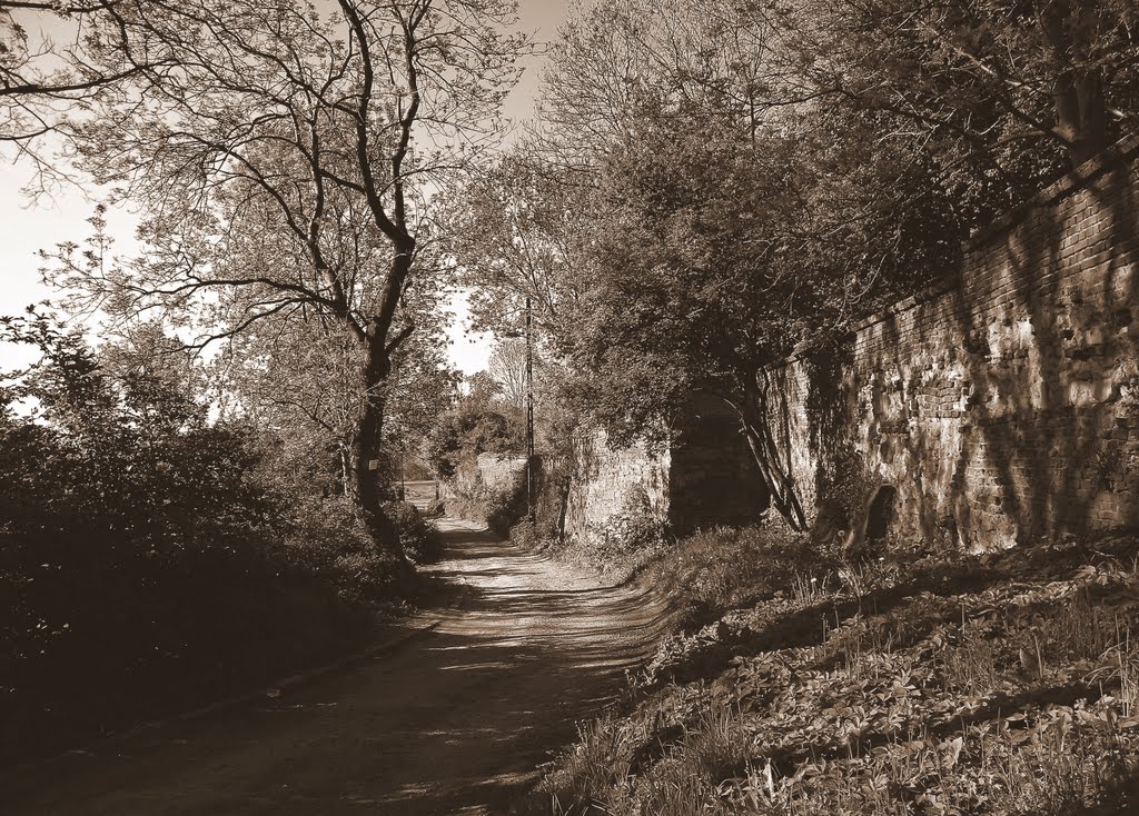 Lublin - ulica Floriańska (sepia)