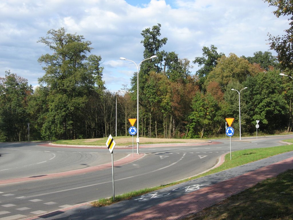 139 Al. Partyznatów, rondo turbinowe