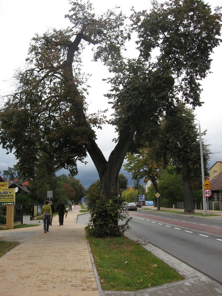 154 ul. Włostowicka