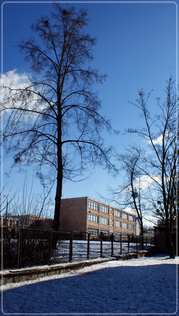 Szkoła podstawowa nr.1 w Puławach