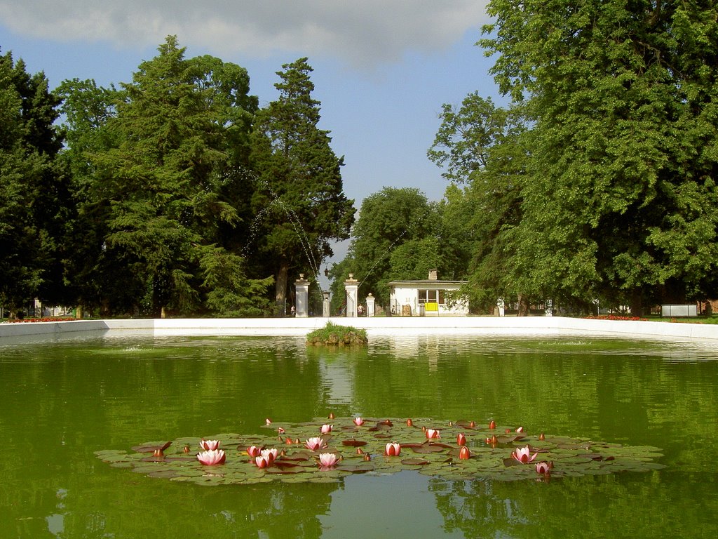 Puławy-przed pałacem