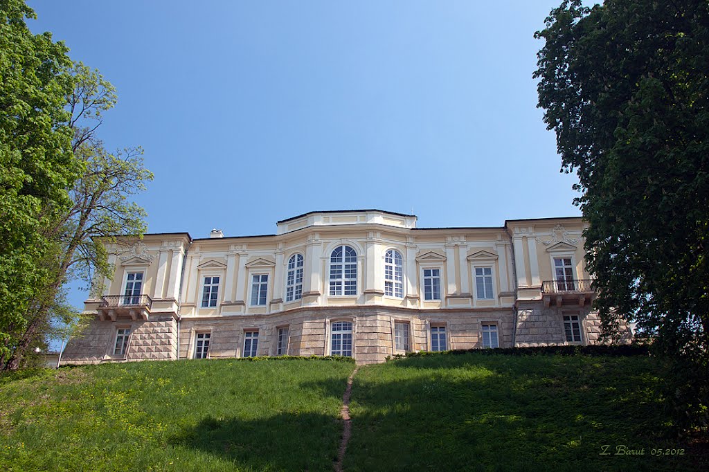 Pałac Czartoryskich od strony Łachy wiślanej