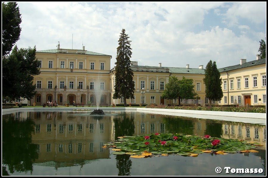 Pałac w Puławach
