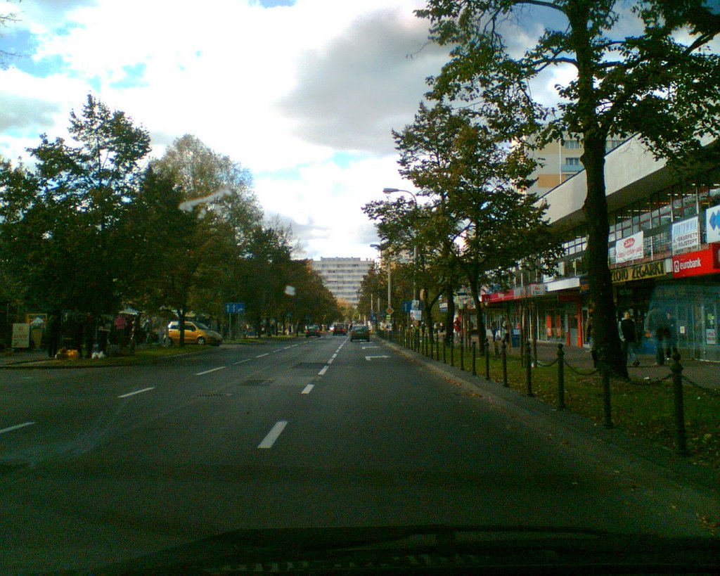 Ulica Centralna w Puławach