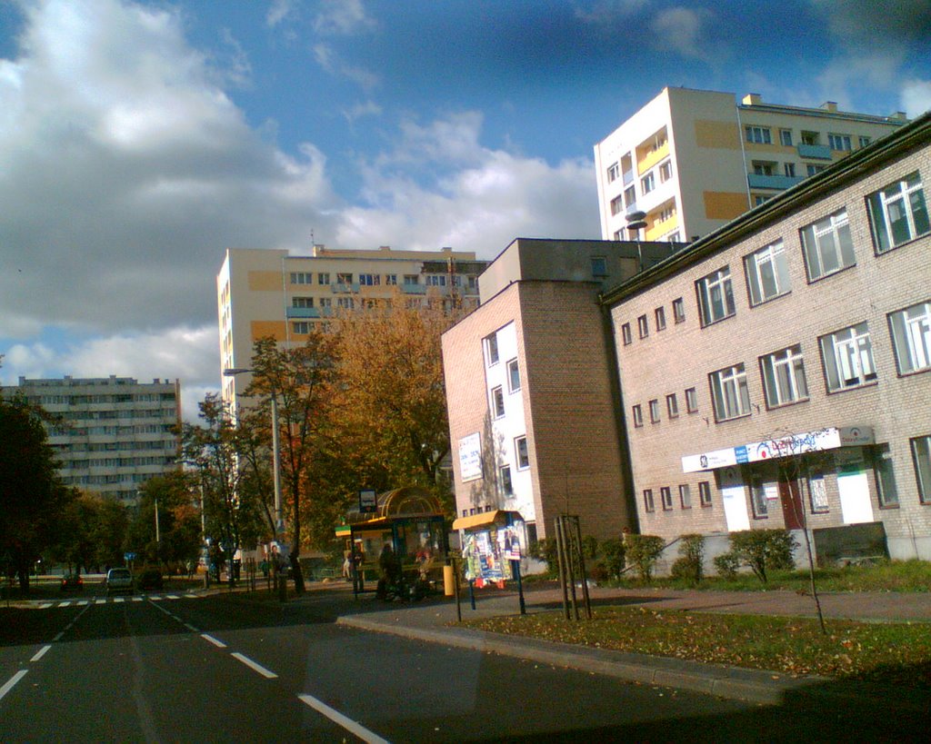 Na ulicy Centralnej w Puławach