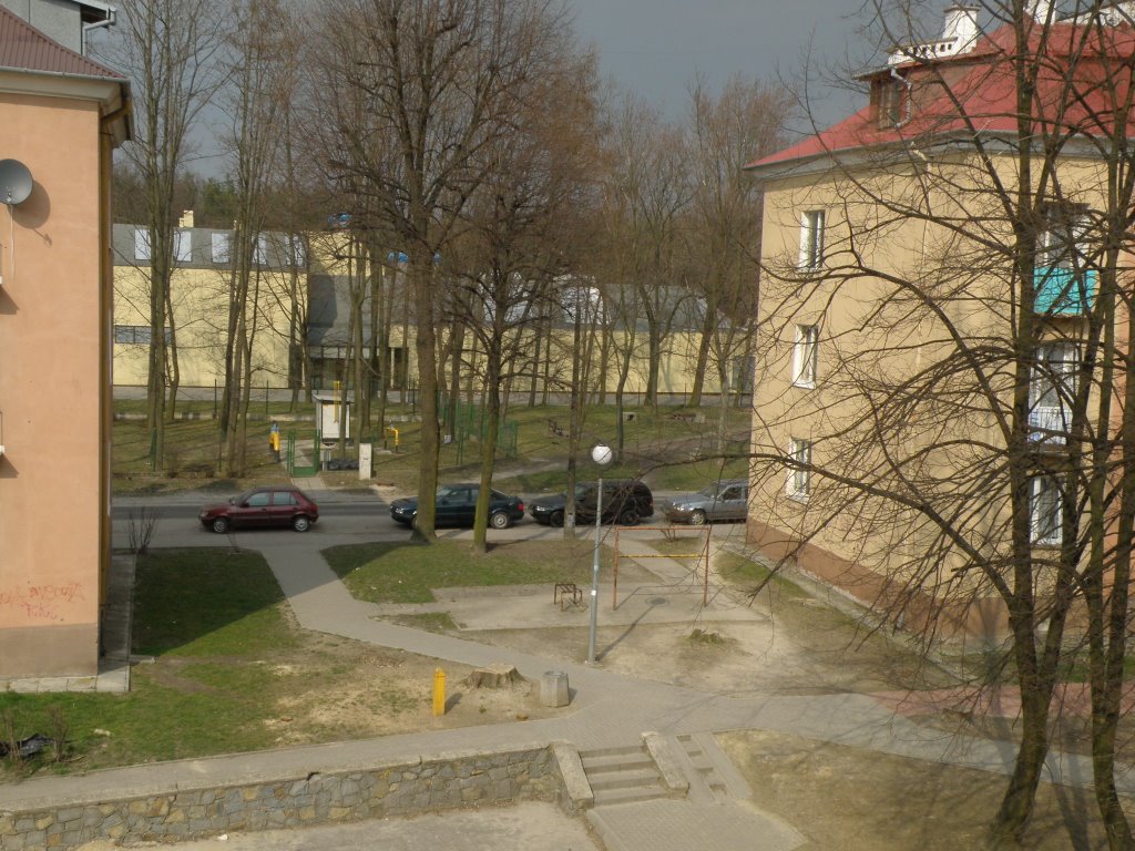 kasztanowce, których już nie ma_2
