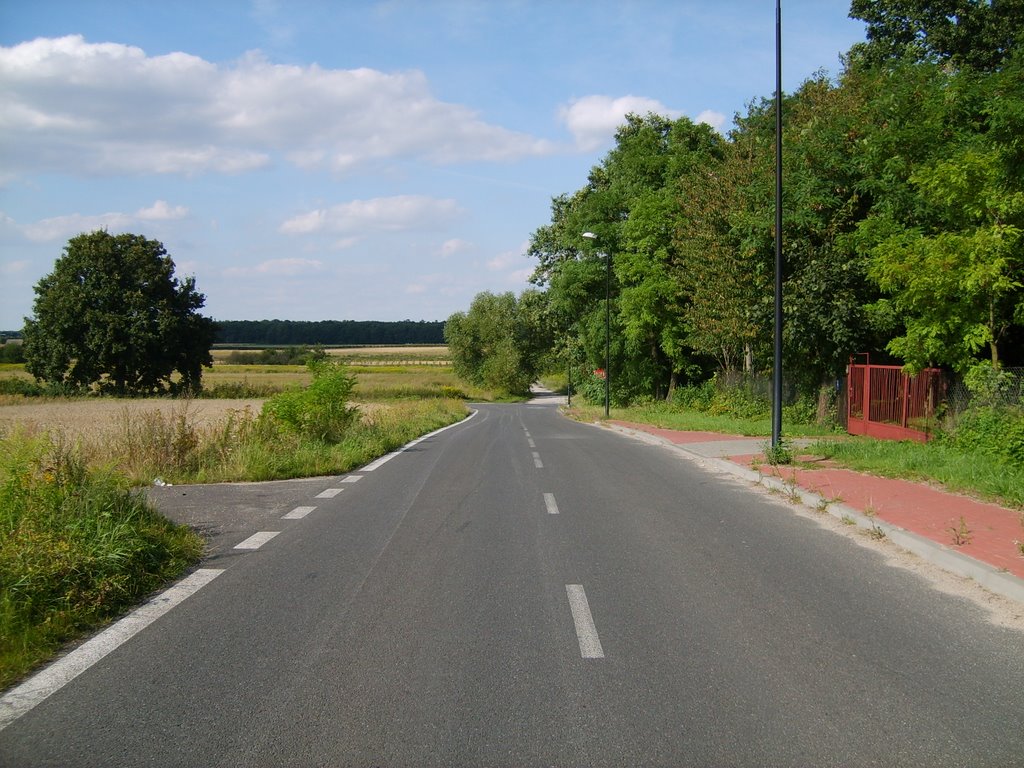 Świdnik koło lotniska (zdjęcie zrobione 2009 przed budową nowego lotniska)