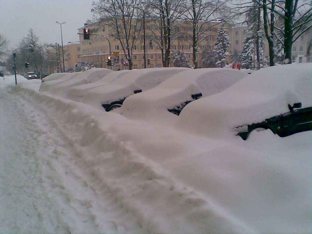 który jest najpiękniejszy i najlepszy