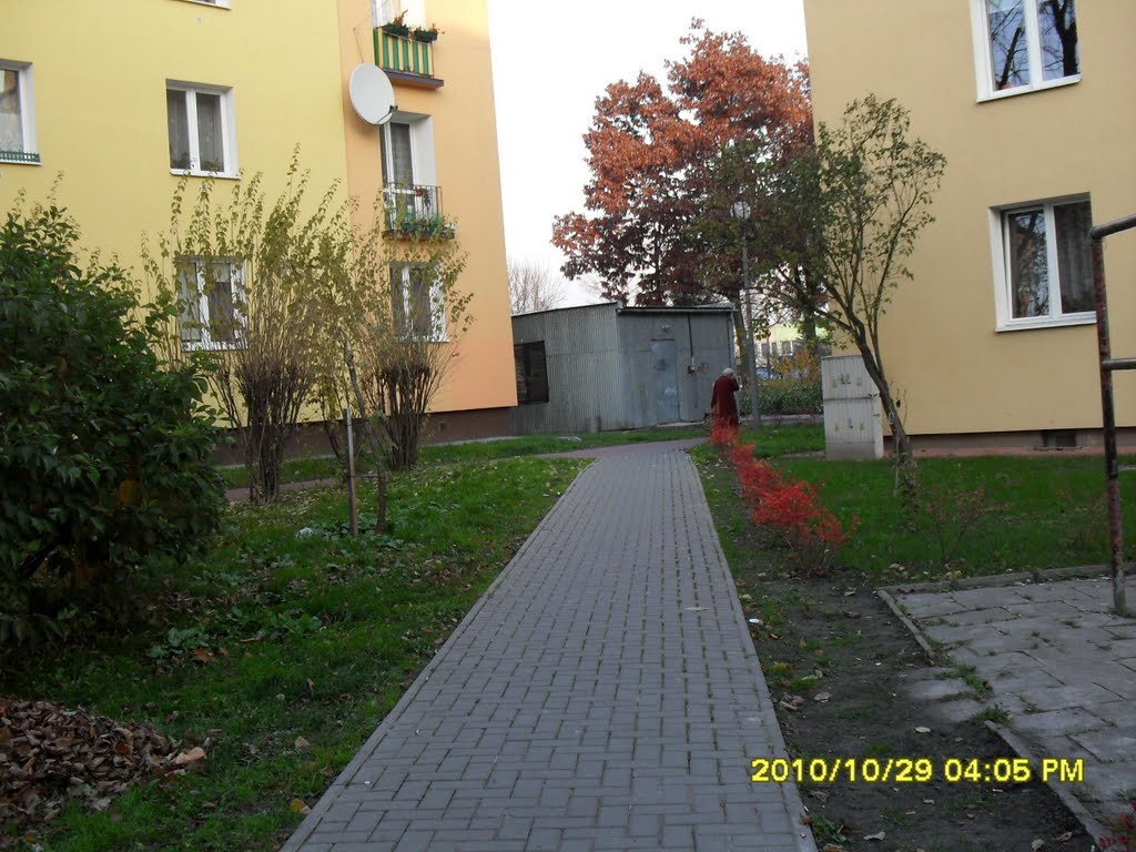 Wyjście z cienia