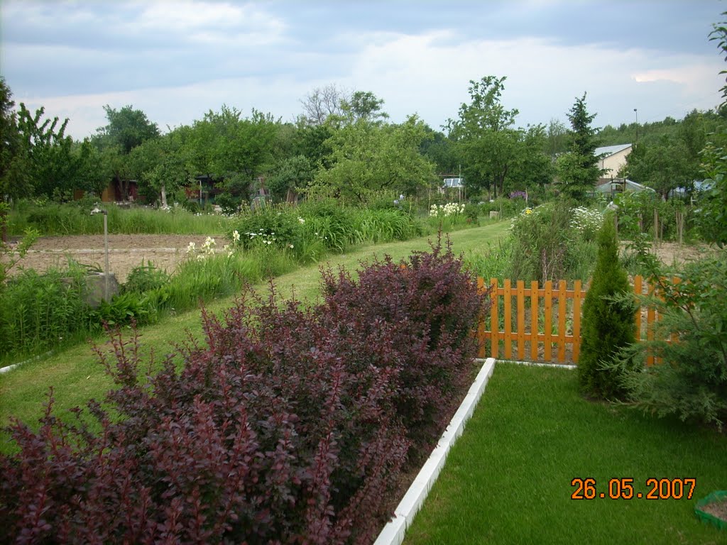 Świdnik działki