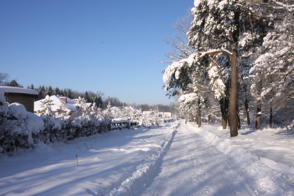 Zima w Świdniku