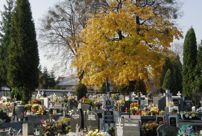 zaduszki