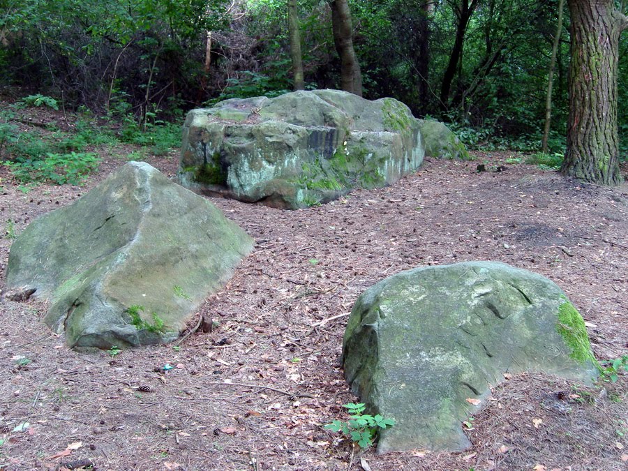 Tomaszów Lubelski, rezerwat "Piekiełko".Reserve "Inferno".
