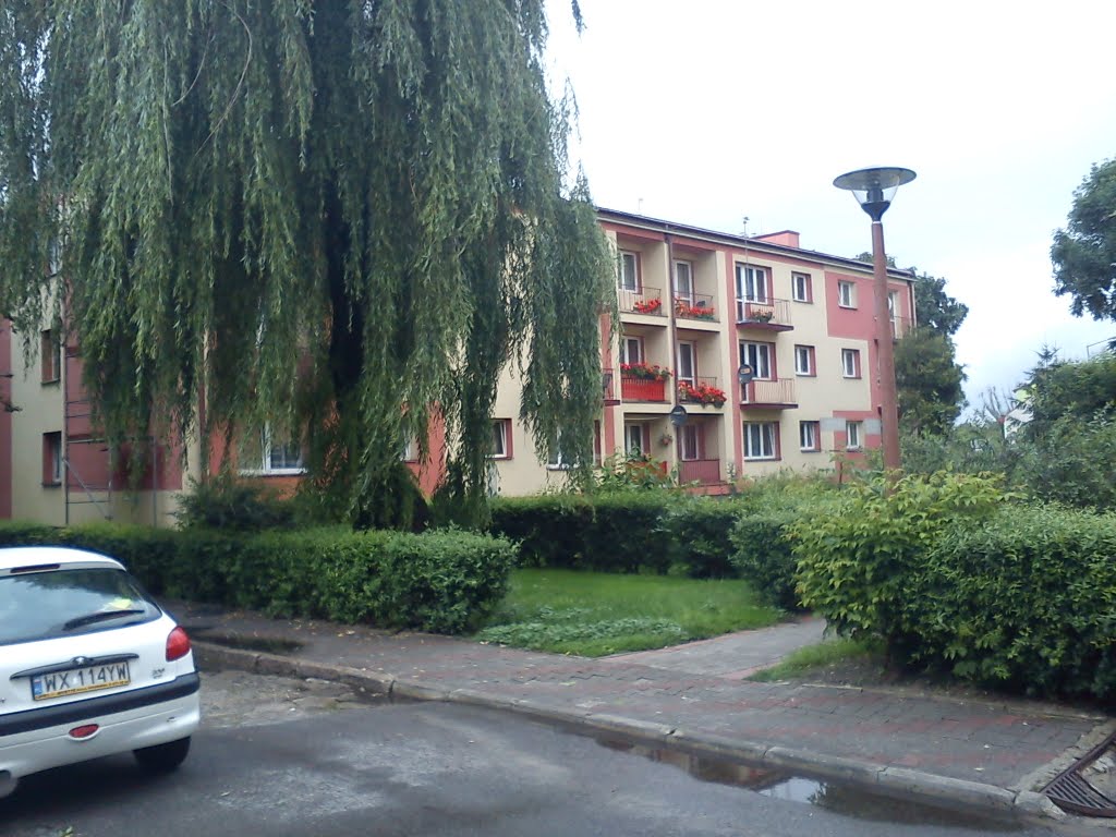 bloki w centrum