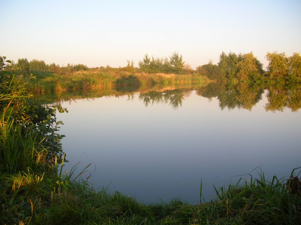Stawy  (Tomaszów Lubelski)