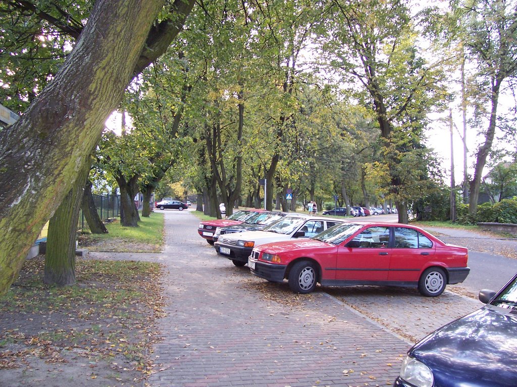 Al.Grunwaldzkie (widok w strone LO)