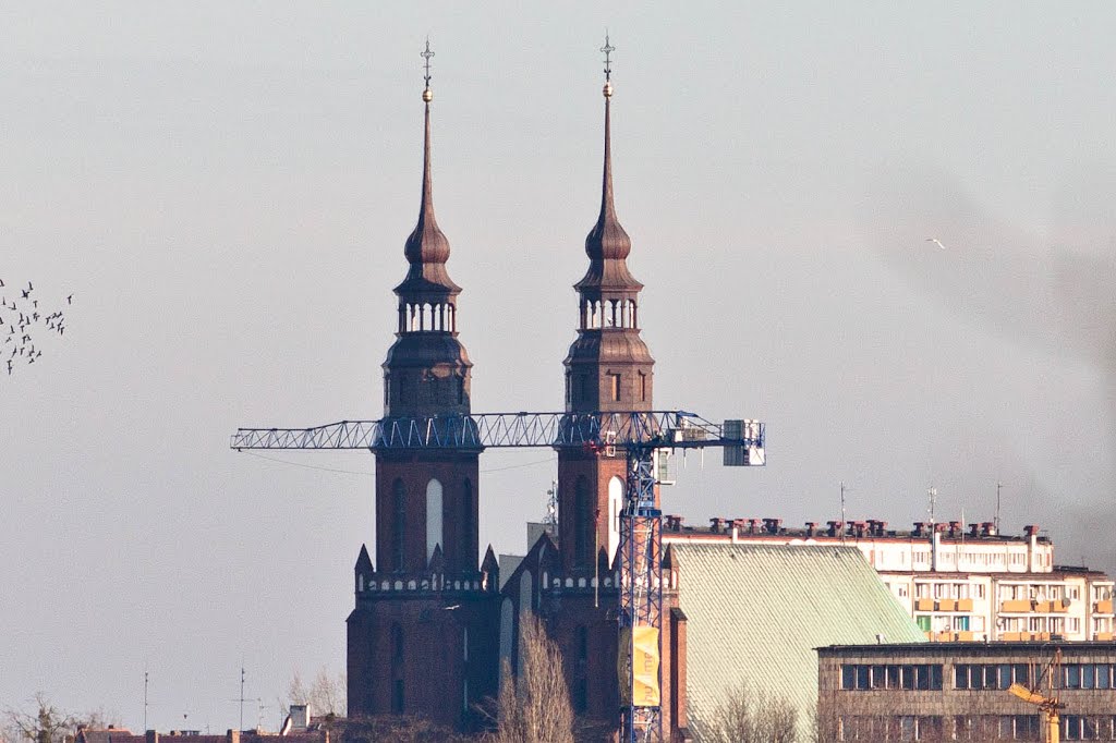 Katedra w Opolu widziana z ul. Prószkowskiej w listopadzie 2010