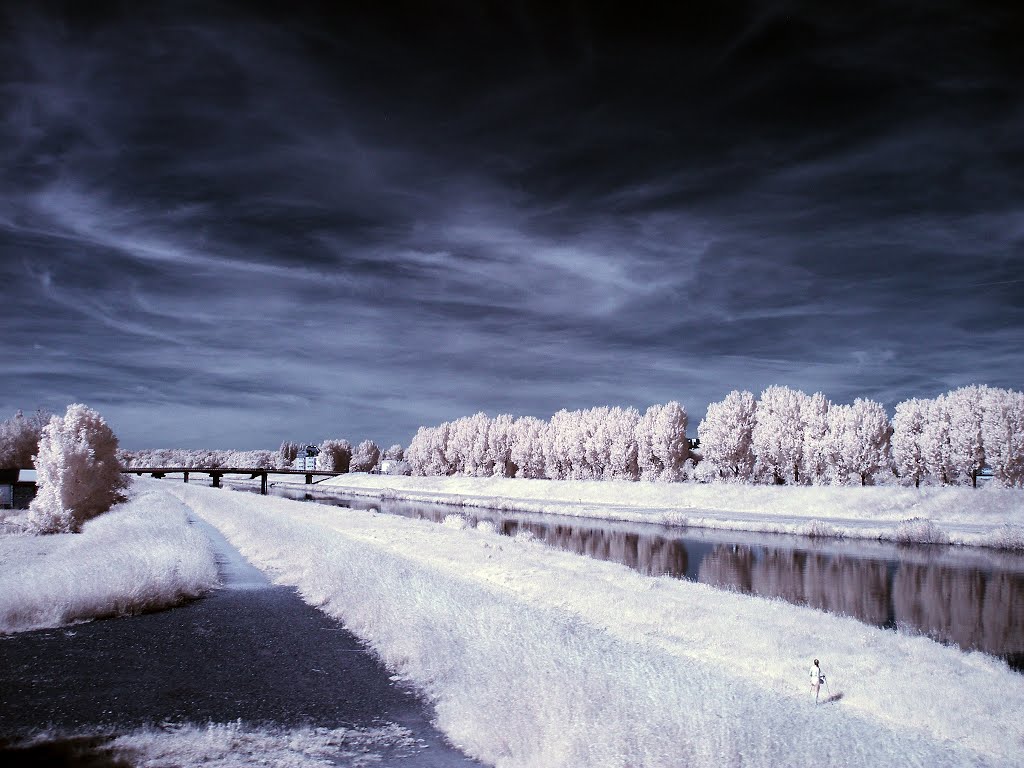 Odra w Opolu IR