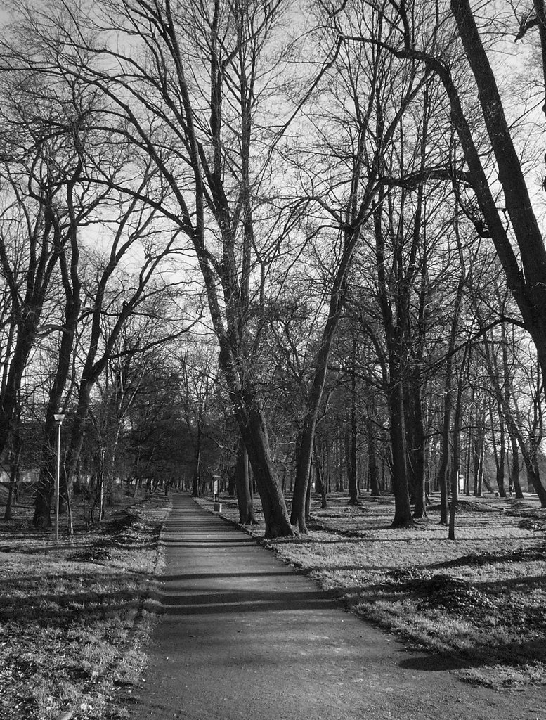 Park na wyspie