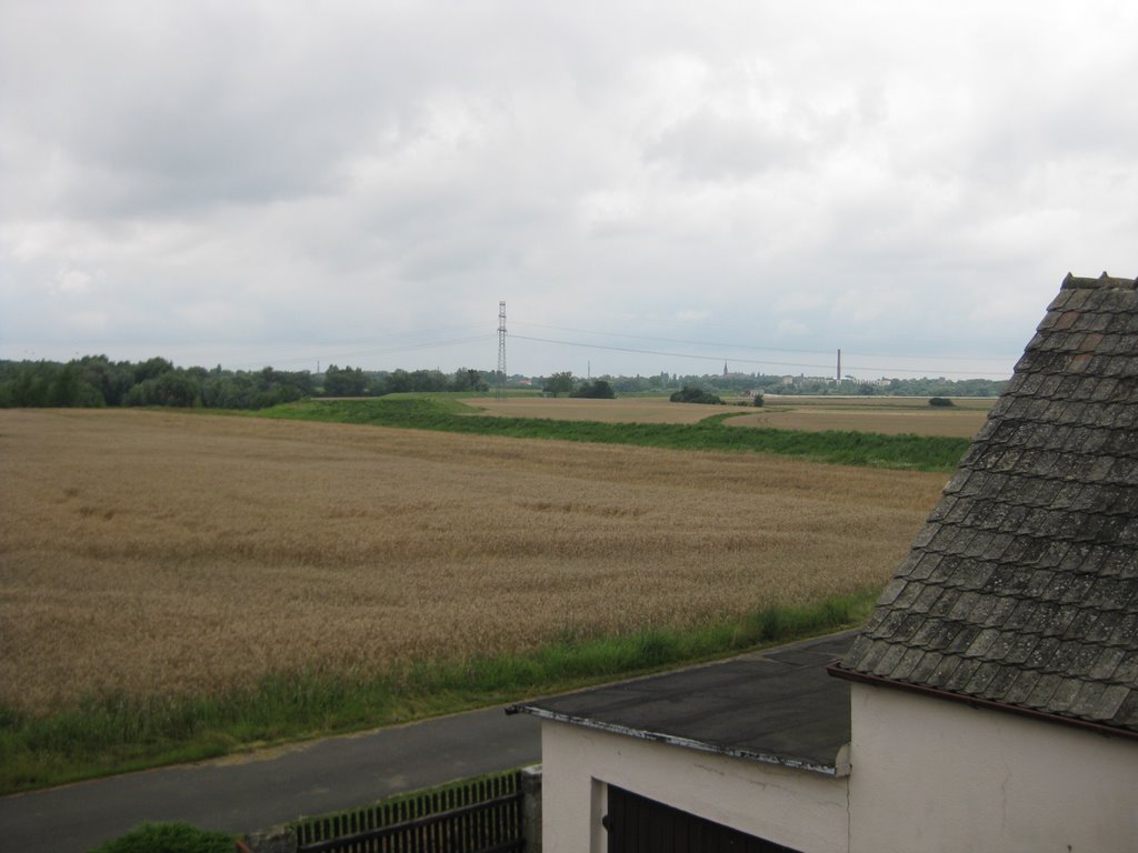 Winów w Opolu