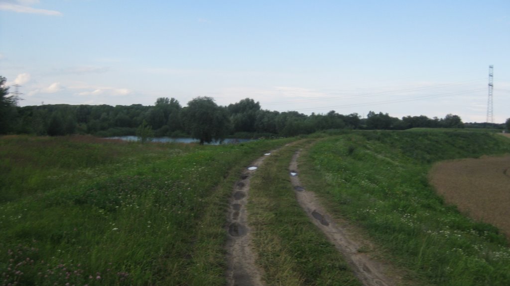 Teich und Damm bei Opole