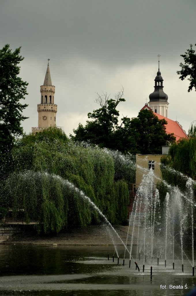 Tower Hall and the Franciscan church above the pond Barlickiego / Wieża ratusza i kościoła franciszkanów znad stawku Barlickiego