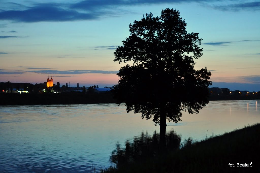 View of the church in Szczepanowice from the Oder river in the vicinity of the island Bolko taking on the menacing Oder River / Widok kościoła w Szczepanowicach z brzegu rzeki na wyspie Bolko z groźnie przybierającą rzeką Odrą