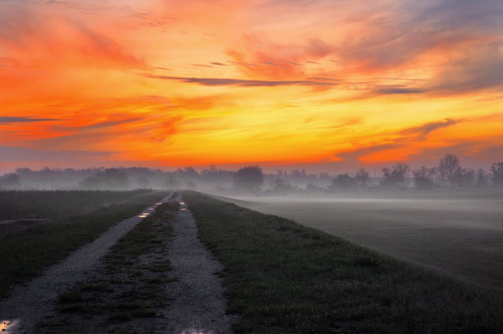 sunrise