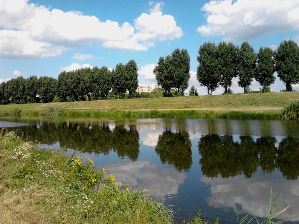 OPOLE