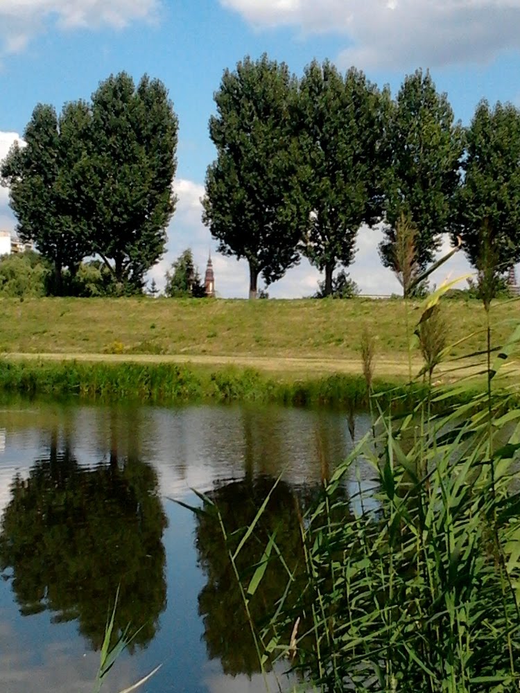 OPOLE