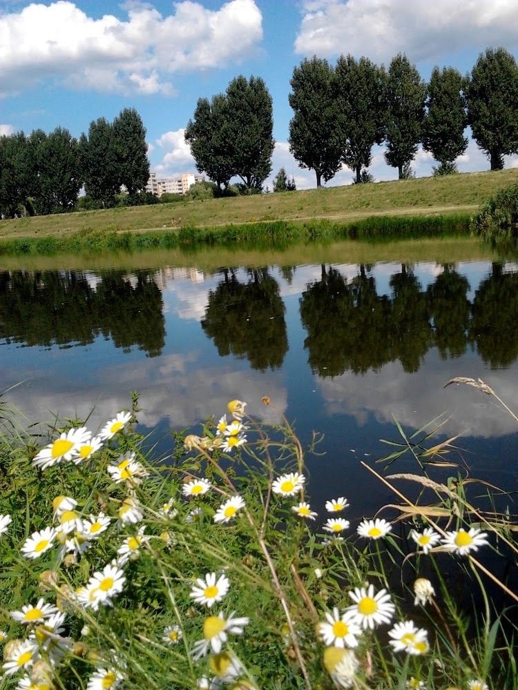OPOLE