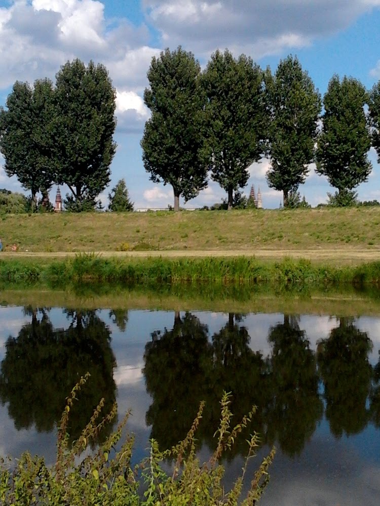 OPOLE
