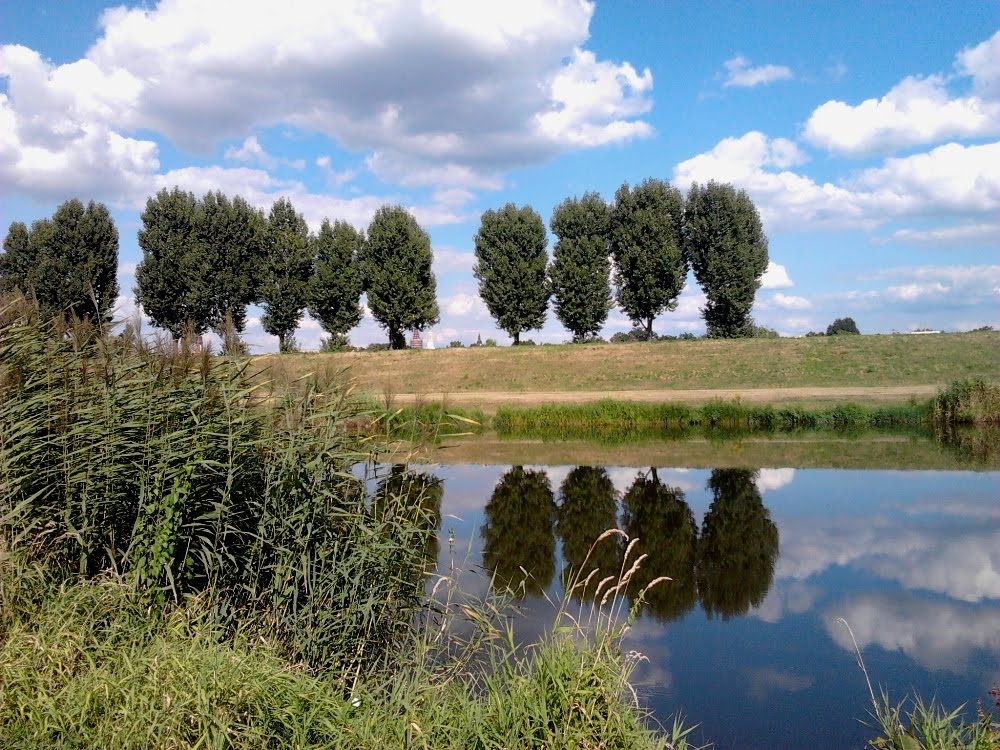 OPOLE