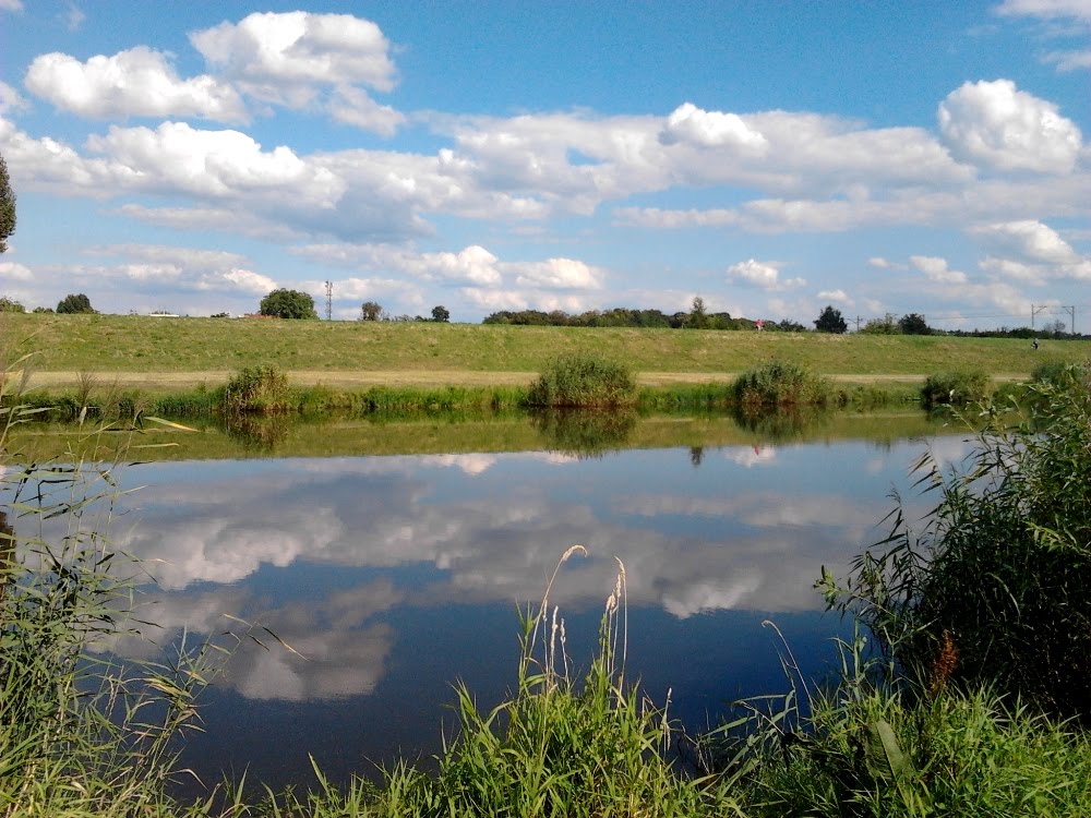 OPOLE