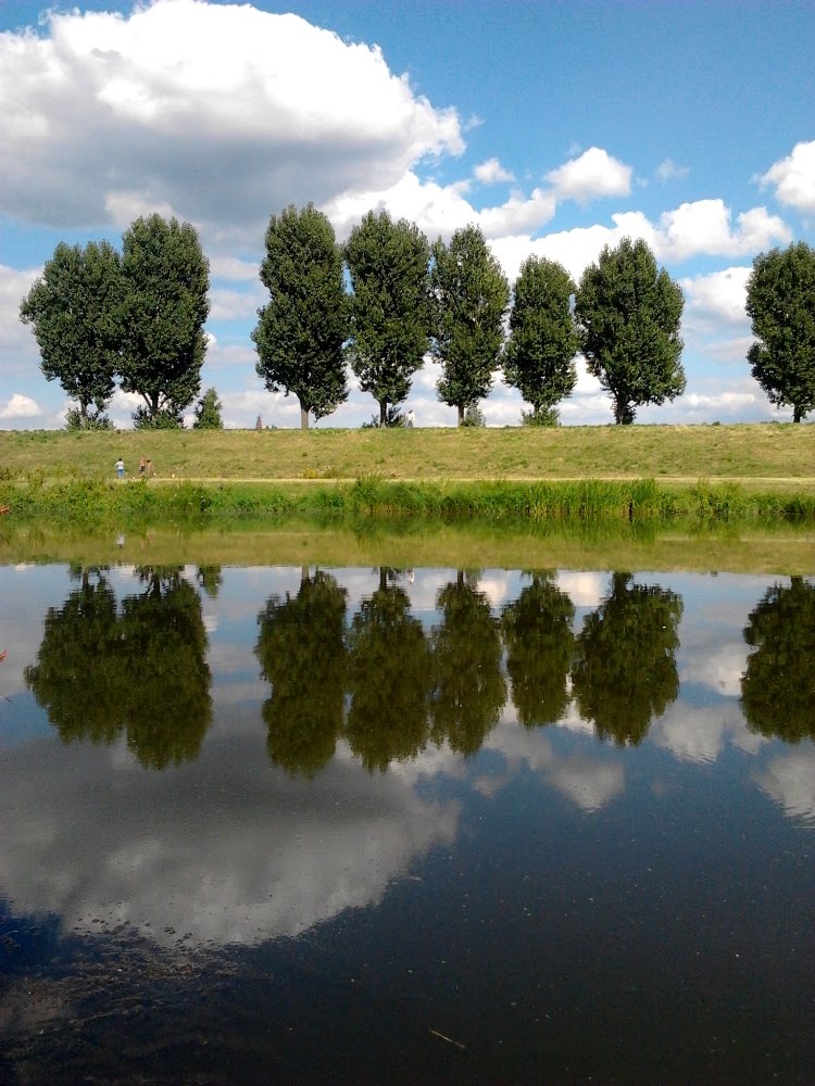 OPOLE