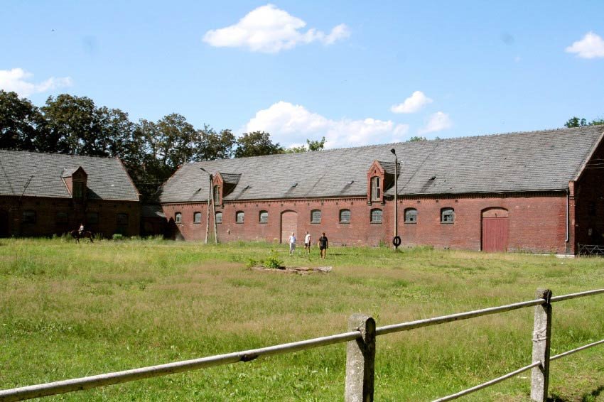 Koźle, stadnina