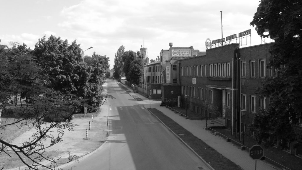 Koźle Port - Kofama (ul.Portowa)