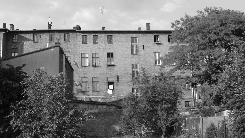 Kamienica przy ul.Piastowskiej (od podwórzy)