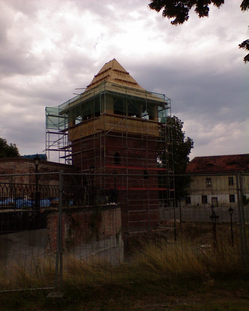 Baszta w Koźlu  (2007.08.15)
